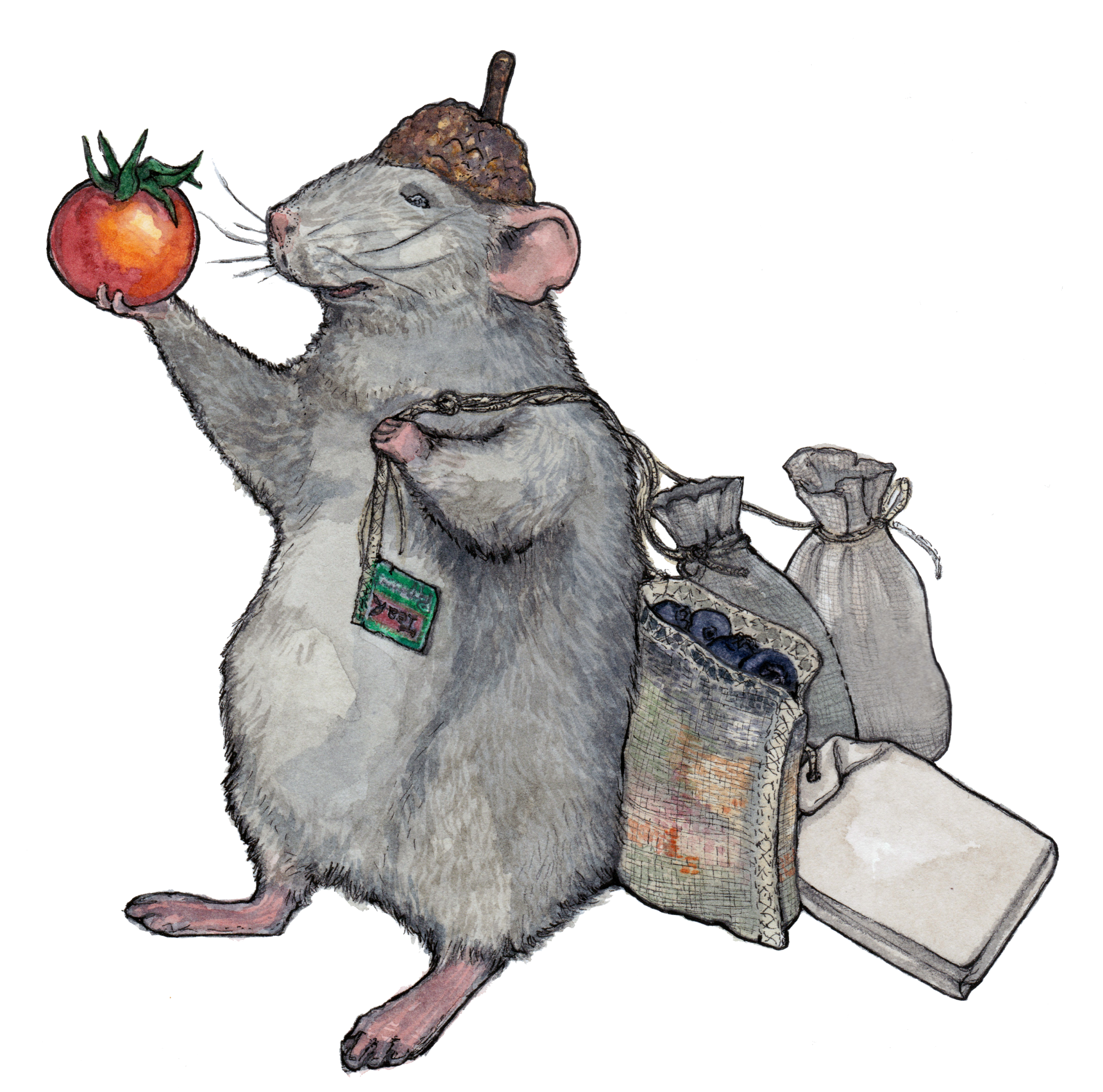 Illustration by Kristina Muñoz