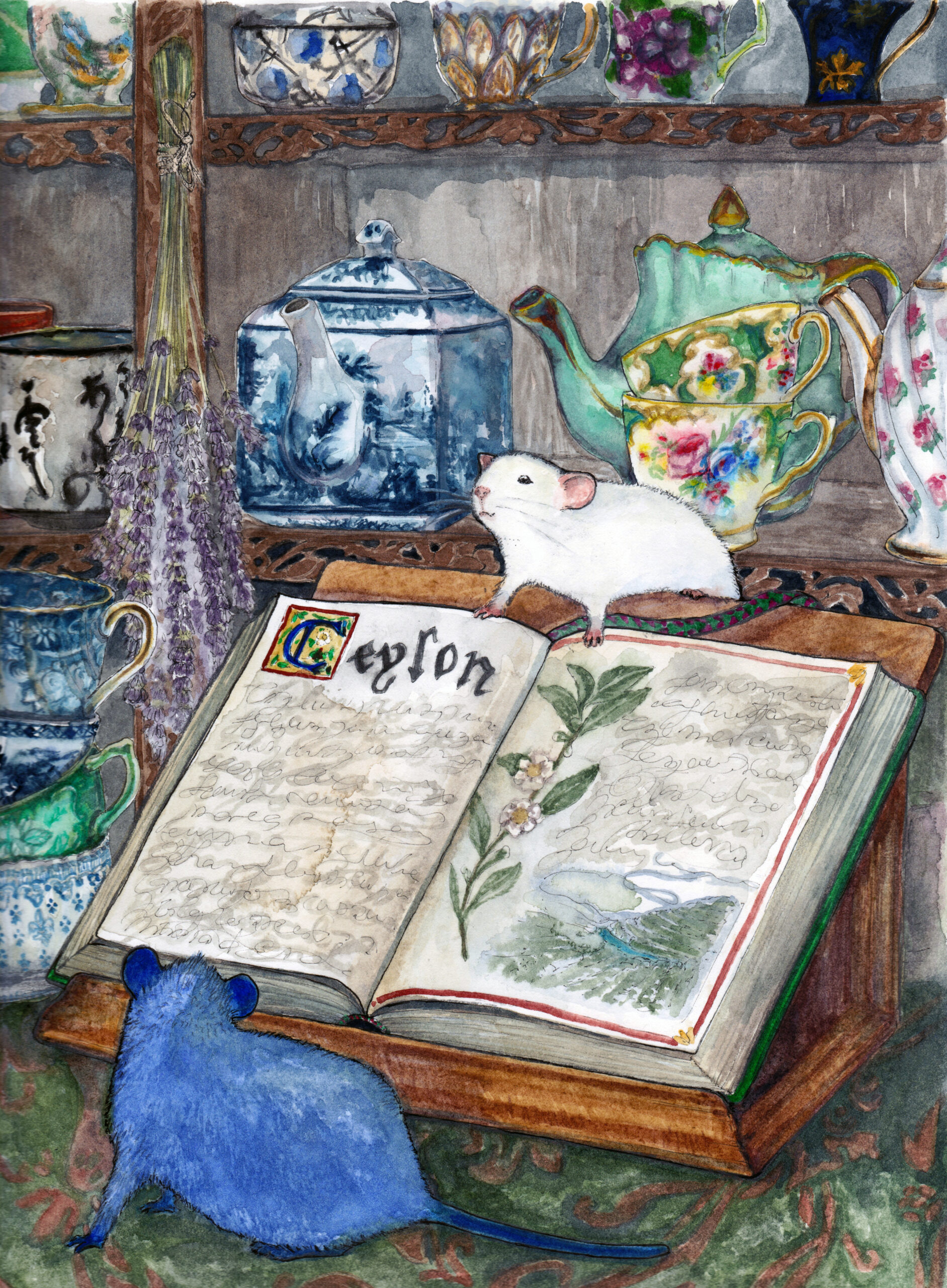 Illustration by Kristina Muñoz
