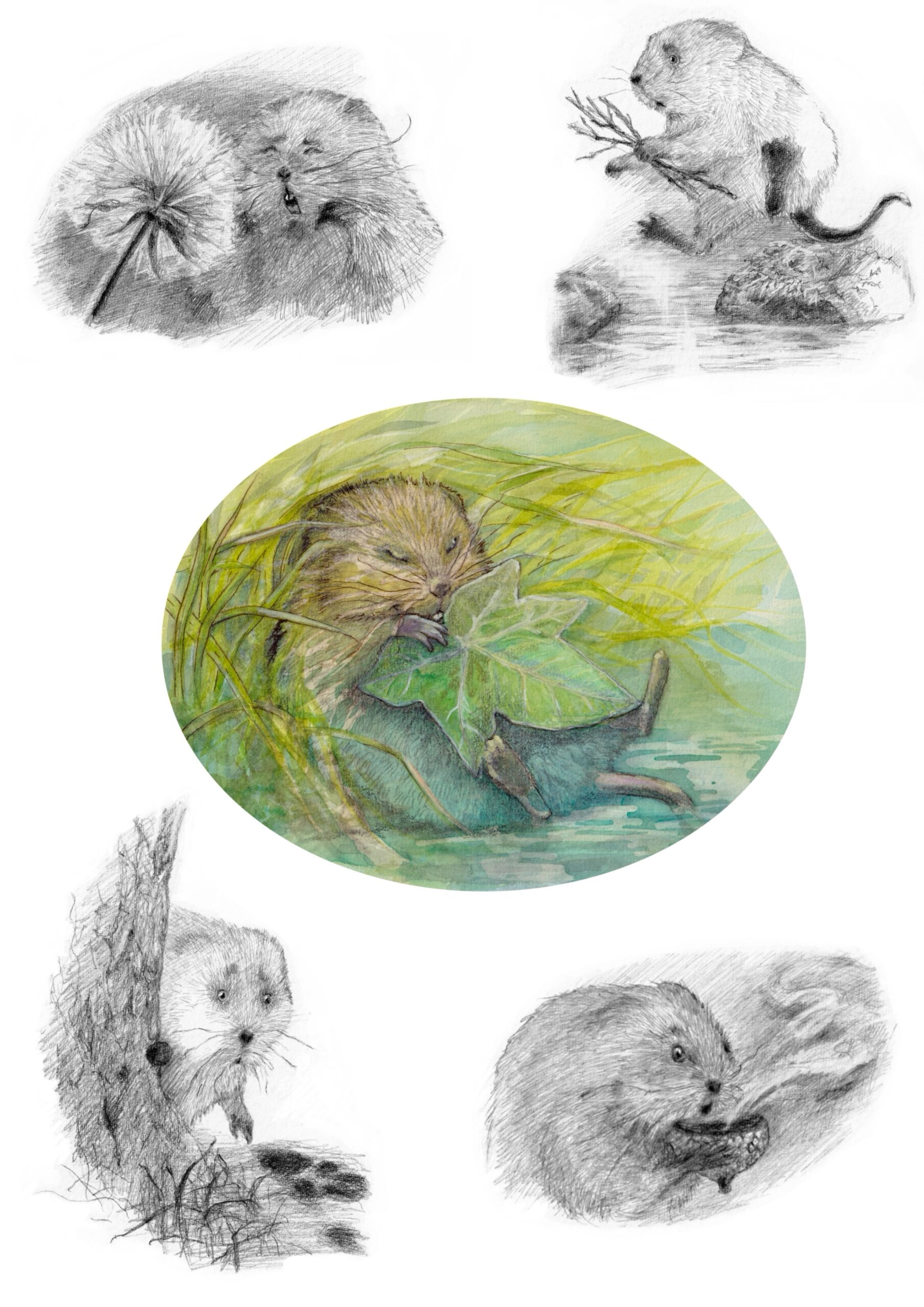 Illustration by Kristina Muñoz