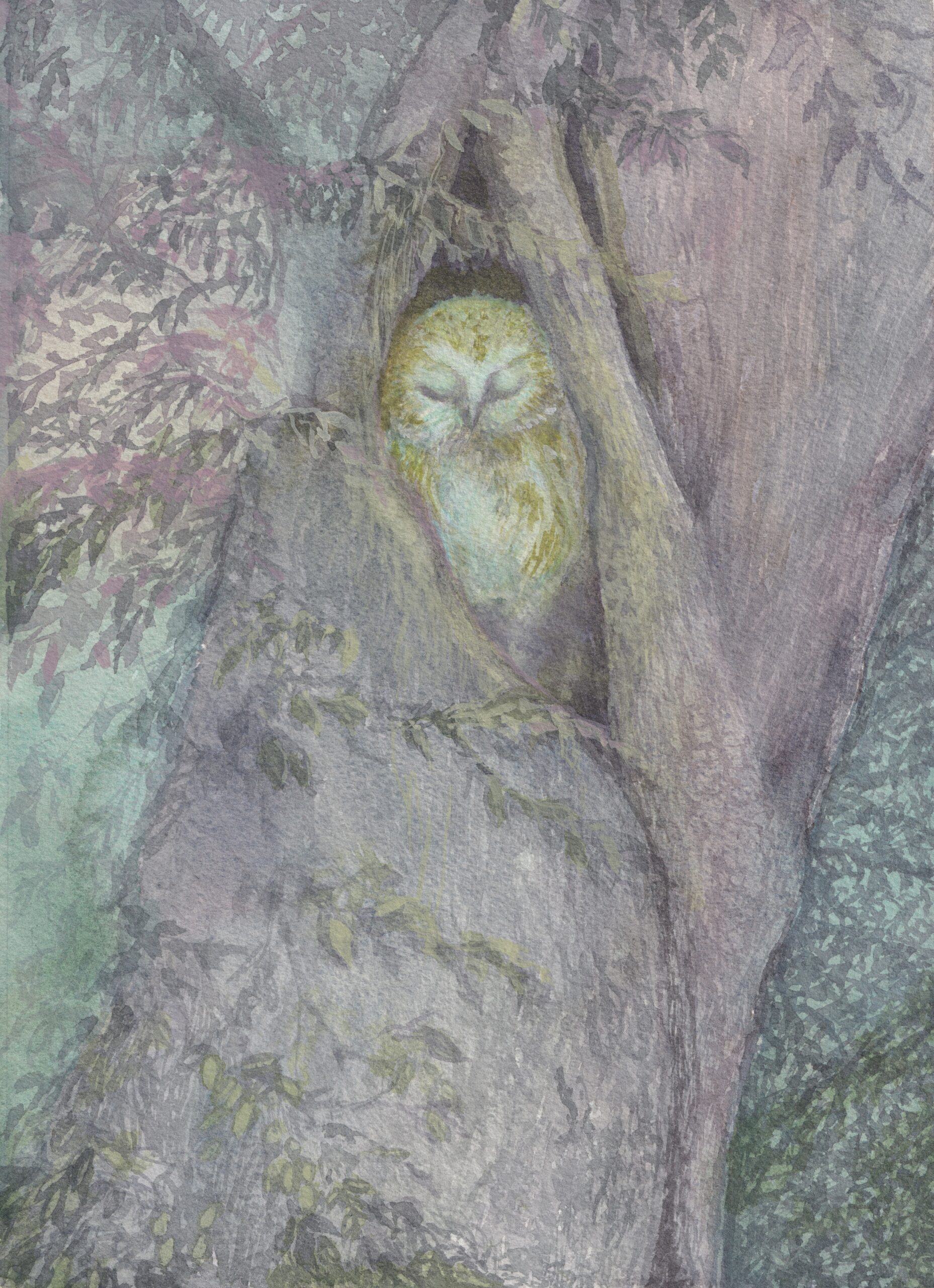 Watercolour painting titled So the Owl May Dwell Within